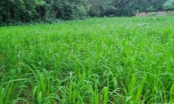 Imagem 3: Chácara 2.660 metros valor 430.000