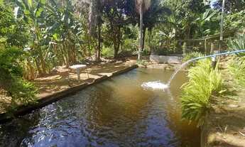 Imagem 5: Vendo sítio Chácara com venda por R$600.000