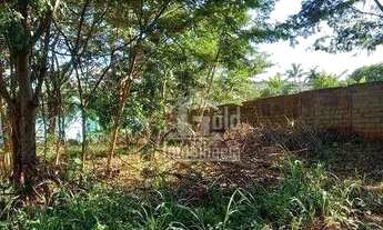 Imagem 5: Terreno para alugar, 5400 m² por R$ 6.000,00/mês - Ribeirânia - Ribeirão Preto/SP