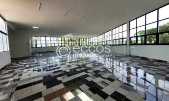 Imagem 3: Imóvel Comercial para aluguel, Jardim das Palmeiras - Uberlândia/MG