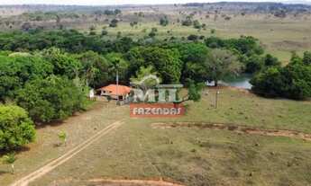 Imagem: Fazenda 58 alqueires (280,7 hectares) Itarumã