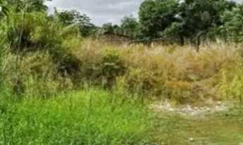 Imagem 3: Terrenos parcelados no Operario