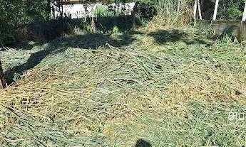 Imagem 3: Terreno à venda, 1449 m² por R$ 320.000,00 - Chácaras São Bento - Valinhos/SP