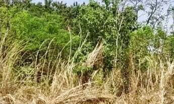 Imagem 2: Lote à venda, 420 m² Jardim Buriti Sereno - Aparecida de Goiânia