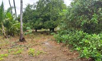 Imagem 5: VENDO EXCELENTE CASA SEMI CHÁCARA EM SANTO AMARO-MA