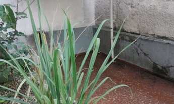 Imagem 4: Sobrado com 2 dormitórios à venda, 220 m² por R$ 850.000,00 - Liberdade - São Paulo/SP