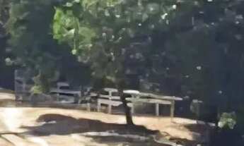 Imagem 4: Terreno no Km 5 da BR174 com 246.601m2. Semi Plano. Documentado