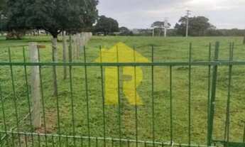 Imagem 6: Area à venda em Neves Paulista-SP, na Barra Dourada, com incríveis 57.500,00 m² de área!