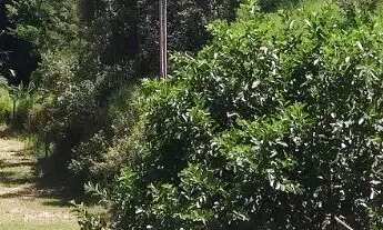 Imagem 5: Chácara no bairro Monterrey: 2 Quartos, 1 Suíte, 3 Banheiros, 3 Vagas de Garagem - Louveir