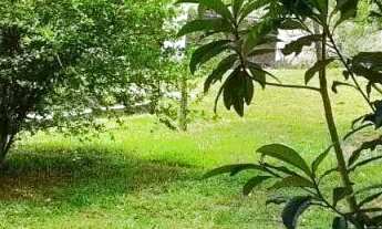 Imagem 7: CASA TÉRREA - ALVARENGA - SP