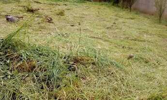 Imagem 3: Terreno à venda em Campinas, Parque das Universidades
