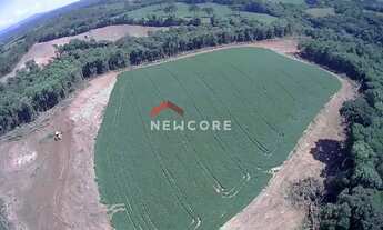 Imagem 6: Sítio em Área Rural - Área Rural de Araucária - Araucária/PR