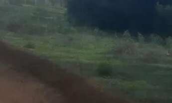 Imagem 4: Chacaras de mil metros em mateus leme