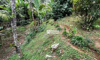 Imagem 7: Terreno à venda, 650 m² por R$ 320.000,00 - São Pedro da Serra - Nova Friburgo/RJ