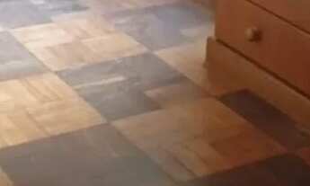 Imagem 3: Apartamento em Azenha