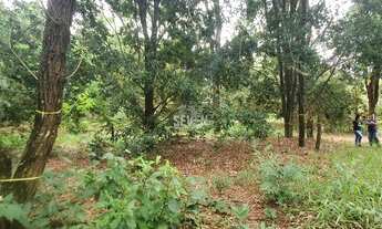 Imagem 3: Terreno a Venda Jardim Imperial