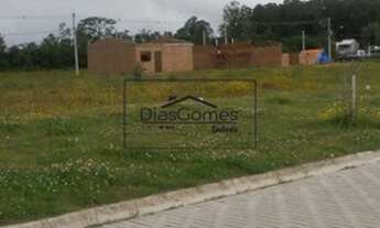 Imagem 3: PELOTAS - Terreno Padrão - Areal