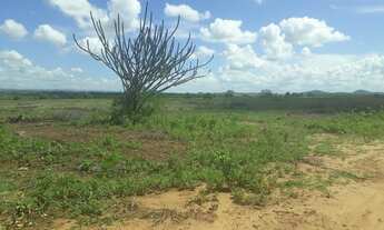 Imagem 5: Fazenda com 570 hectares entre serra caiada e ganhará
