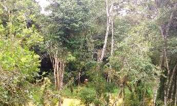 Imagem 4: Excelente Chácara Sem Benfeitorias