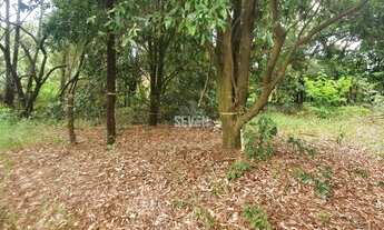 Imagem 2: Terreno a Venda Jardim Imperial