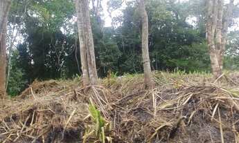 Imagem 5: Terreno plaino dívisa são Lourenço 32 mil reais