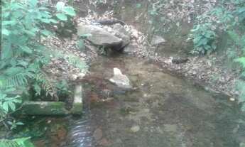 Imagem 7: Vendo! Lote de 360m² a 15 minutos da Cidade Administrativa