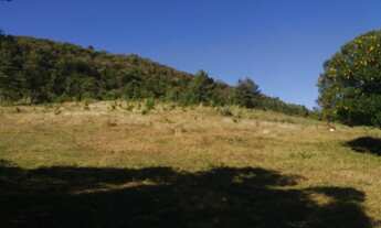 Imagem 3: Fazenda/Sítio/Chácara para venda com 120000 metros quadrados em Rural - São Francisco de P