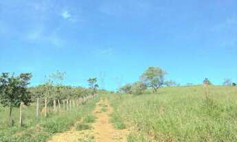 Imagem 2: AREAJAMBEIRO Terreno / lote com venda por R$3.000.000