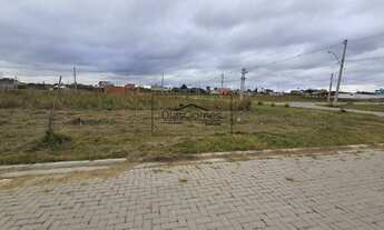 Imagem 4: PELOTAS - Terreno Padrão - Areal