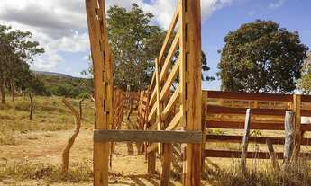 Imagem 3: Fazenda de 67 hectares no Município de Buritis Mg