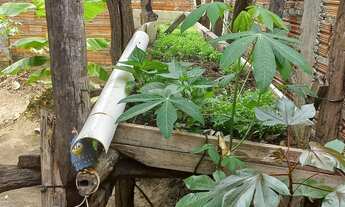 Imagem 4: Casa em floriano/Pi