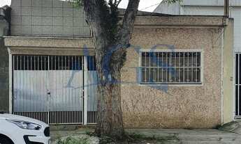 Imagem: São Paulo - Terreno Padrão - PENHA