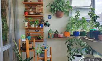 Imagem 2: Aracaju - Apartamento Padrão - São José