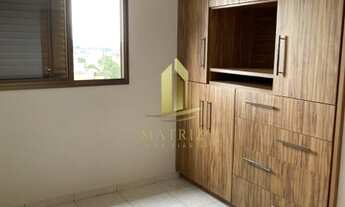 Imagem 7: FRANCA - Padrão - Núcleo Agrícola Alpha