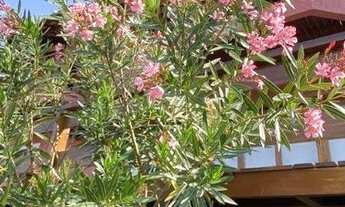 Imagem 6: Casa residencial à venda, Albuquerque, Teresópolis