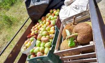 Imagem 5: Sítio em Alagoa Nova-PB