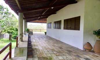 Imagem 11: Vendo Chácara em Terra Vermelha com 50 Hectares em Caruaru/PE