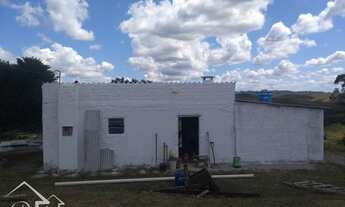 Imagem 5: Pinheiro Machado - Sítio - Zona Rural