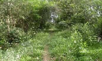 Imagem 2: Chácara dentro de Aparecida de Goiânia com água