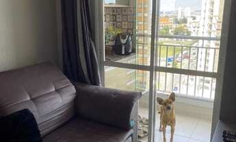 Imagem 6: SãO BERNARDO DO CAMPO - Padrão - Planalto