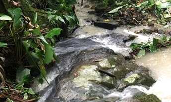 Imagem 5: Sítio em Fazenda do Bom Jesus a venda