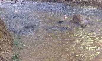 Imagem 5: Oportunidade em Lotes