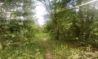 Imagem 4: Chácara dentro de Aparecida de Goiânia com água