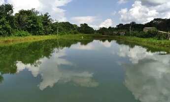 Imagem 6: Sítio em Manacapuru