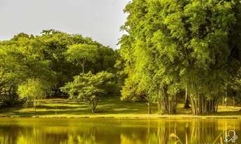 Imagem 6: Chácara à venda, 3 quartos, Imigrante - Nova Hartz/RS