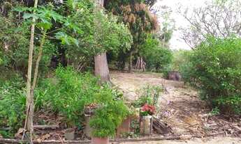 Imagem 6: Terreno rural Terreno / lote com venda por R$500.000