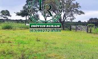 Imagem 2: Fazenda 38 Alqueires Vale do Araguaia