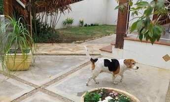 Imagem 4: Casa para aluguel e venda com 280 m2 com 4 quartos em Lagoa - Macaé - Rio de Janeiro