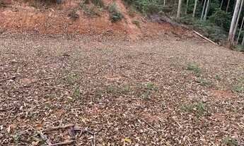 Imagem 5: Área de 20mil metros em Pedra Azul