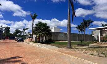 Imagem 3: Vendo lote 500 m2 ponte alta norte, rua do posto Rodobelo